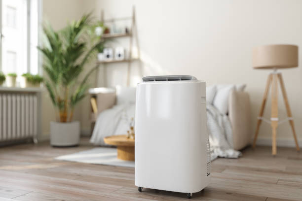 Ductless HVAC repair in Golden Valley, MN